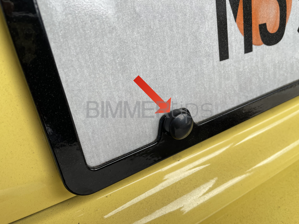 BMW License Plate Hardware Hider Set, Genuine BMW 82120150564-BIMMERtips.com